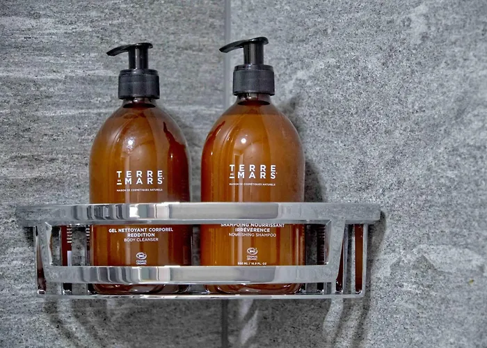 Bank House M 106 - Griwa Rent Апартаменты Интерлакен